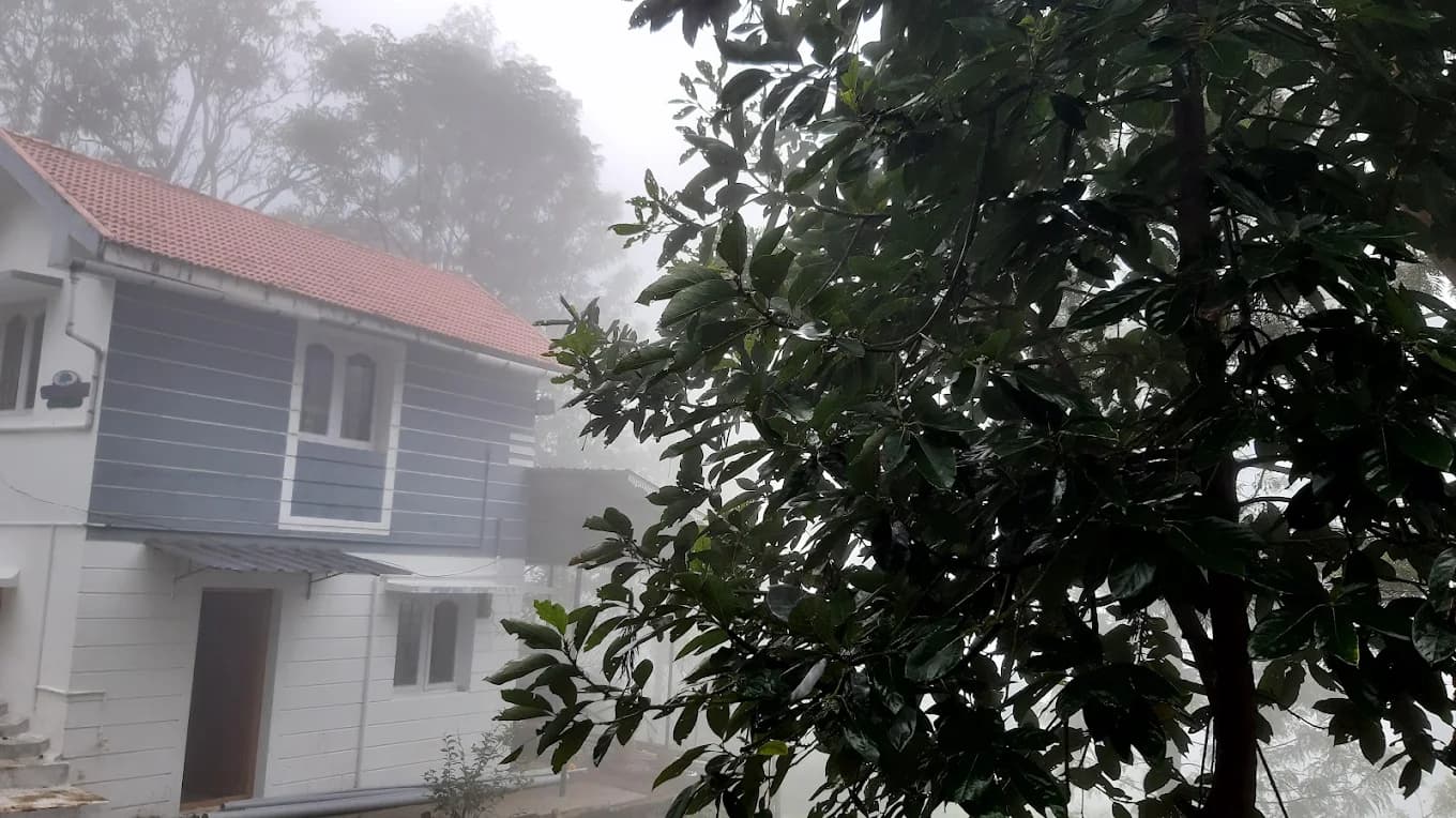 Jacaranda Gallery 14