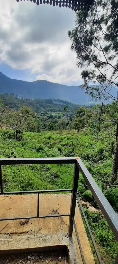 Jacaranda Gallery 28