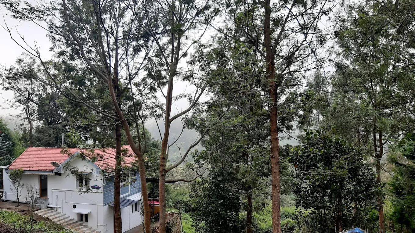 Jacaranda Gallery 30