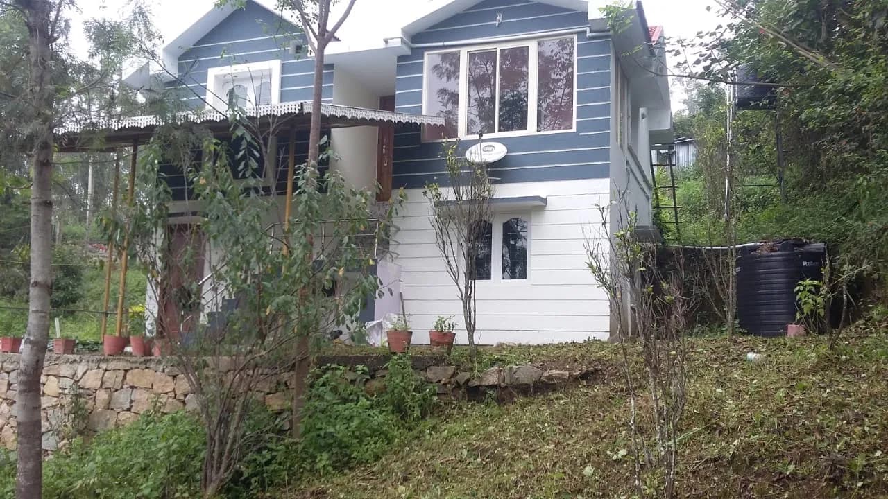 Jacaranda Gallery 36